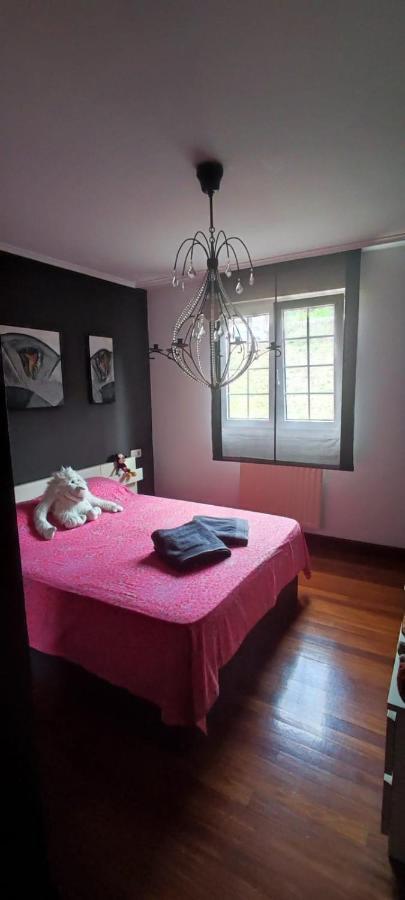 Nala House, Acogedor,Bien Comunicado,Aparcamiento Gratis En La Calle Bilbao Exteriör bild